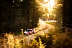 2025, CANTERBURY, NEW ZEALAND, , 
WORLD COPYRIGHT: TAYLER BURKE
_SAT8683.CR3