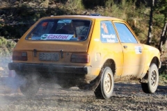 SetWidth640-Hanmer-Springs-Rally-2014-1381a